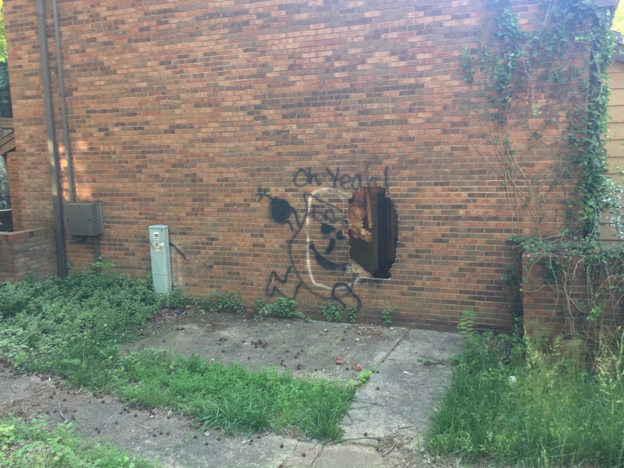 afloweroutofstone:Some of my favorite graffiti I found today.