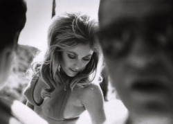 themaninthegreenshirt:  Sharon Tate [1967]