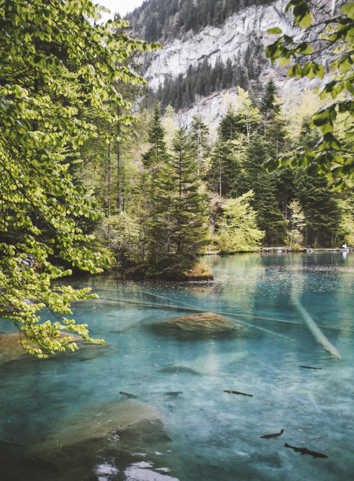 alpinesketch: Blausee, Switzerlandinstagram: alpinesketch