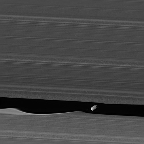 antikythera-astronomy:In Cassini’s final days, it is sweeping through dramatic, close flybys of Satu