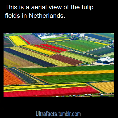 ultrafacts:  Source For more facts follow Ultrafacts