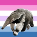 anteaterbisexual avatar