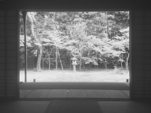 chanoyu