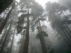 wonderlust444: