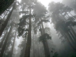 wonderlust444: