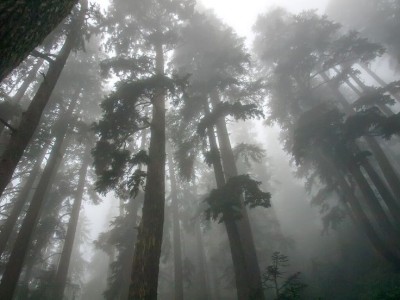 wonderlust444: