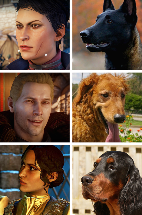 klc-journei: little-black-otter: Added some Inquisition doggos now that I’ve finished the game