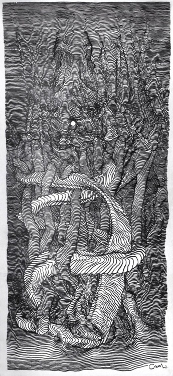 therhumboogie: By Carl Krull, this beautiful set of scroll drawings while resembling sound-waves hav