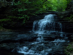 aetheric-aesthetic:  Dryad’s Bath (I)