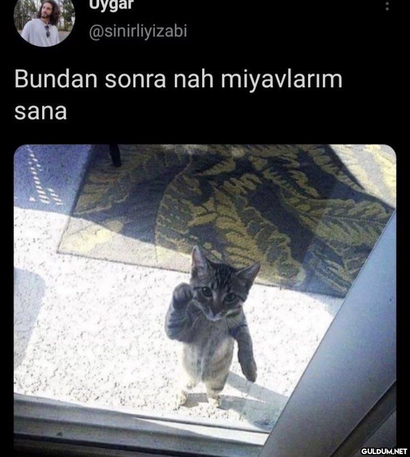 Uygar @sinirliyizabi...