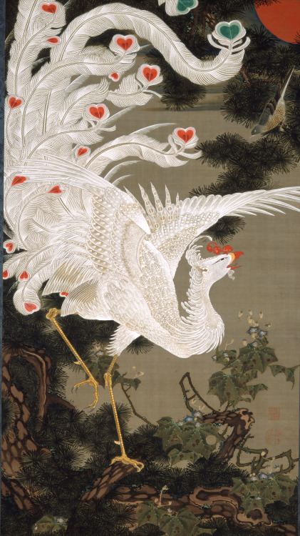 heartbeat-of-leafy-limbs:ITO JAKUCHU White Phoenix and Old Pine Tree [1766]