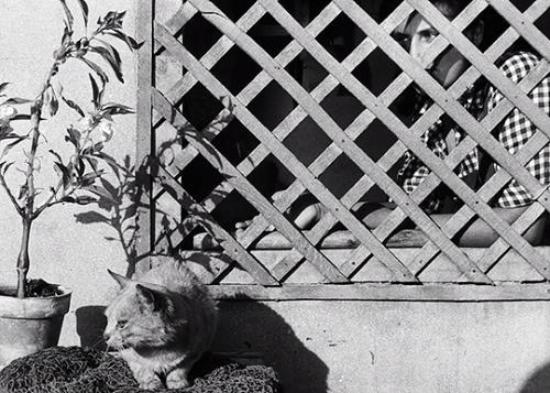 sandraoh:La Pointe-Courte (1955) dir. Agnès Varda.