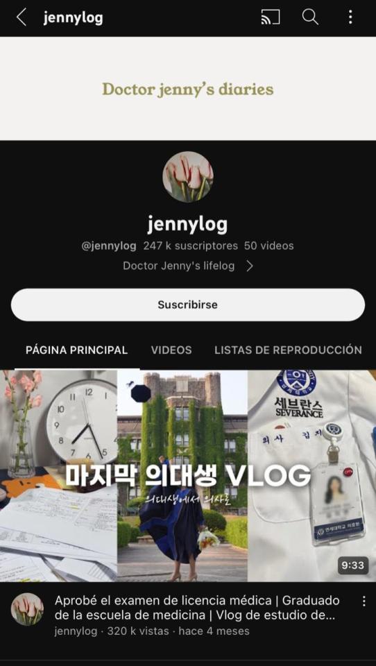 Cuentas De Vlogs.