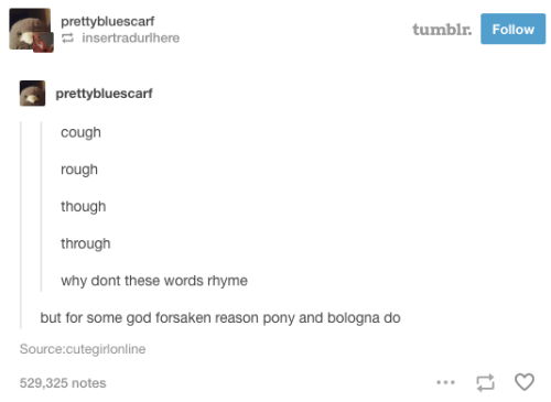 bestfriendburger: buzzfeed: 23 Times Tumblr Realized How Confusing The English Language Is @hadmeath