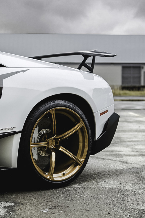 mrcheyl:  PUR 8IGHT Monoblock Wheels x Lamborghini Murcielago SV 