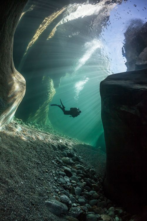 lifeunderthewaves:Diving in Verzasca RiverDiver in crystal clear water of Verzasca river in Ticino -