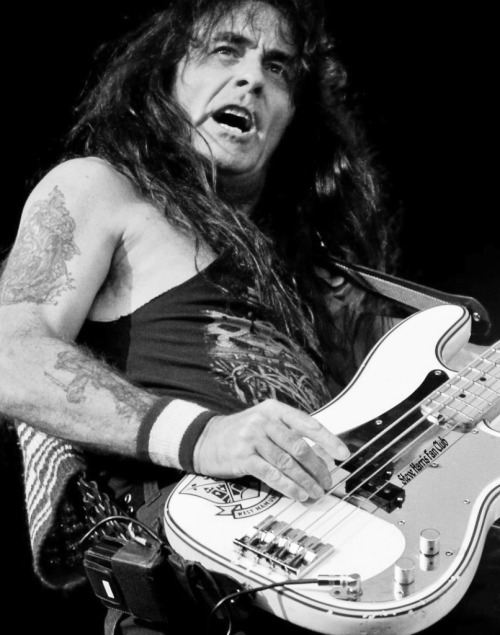 steveharrisfan:Steve Harris
