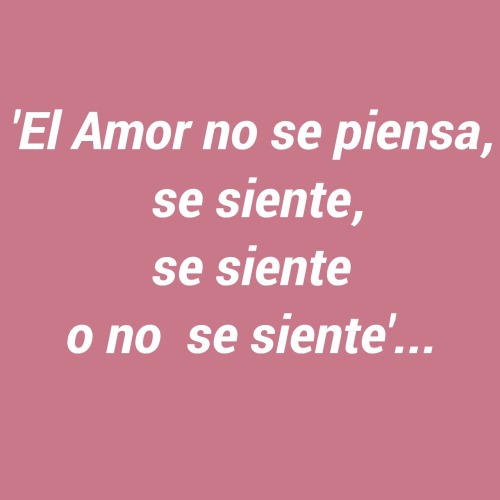 Love decisions: ¡Sí o No!Against this scenario, it should be noted that the decision is categorical.