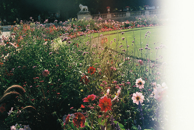 aphelia:  show me a garden that’s bursting into life by holding onto gravity on