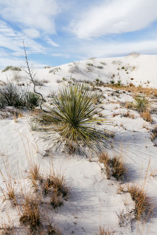 White Sands National Monument, New MexicoInstagram | Prints