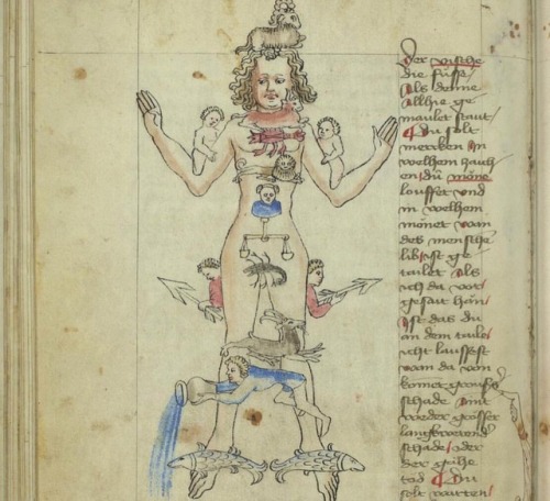 This manuscript combines the concepts of medicine and astrology. This illustration on folio 54 vers