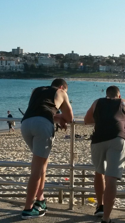 2 asses begging to be rimmed!
