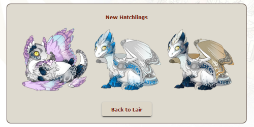 Gen 2 Children of Light have arrived!Born of Livnath and Sawyer, two dragons who devoted their lives