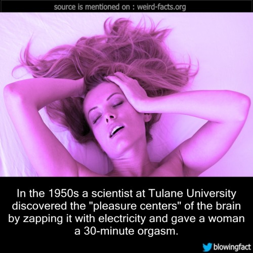 mindblowingfactz:   In the 1950s a scientist at Tulane University discovered the “pleasure centers” of the brain by zapping it with electricity and gave a woman a 30-minute orgasm. source image via huffingtonpost  Zap away….
