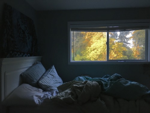sexpectinq:sadboiaesthetic:bedroom moodmessy bed, messy mind?? 
