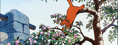 disneysources:o'malley the alleycat | aristocats (1970)