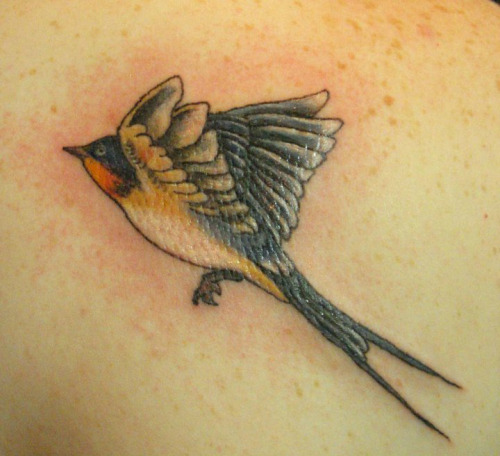 Bird tattoo by Laura Exley at Damask Tattoo in Seattle, WA.