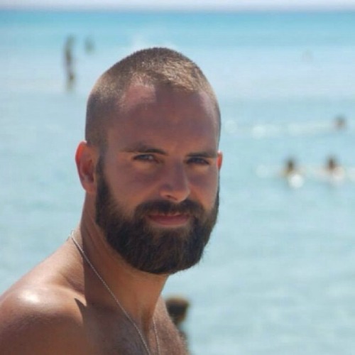 fuzzforia: