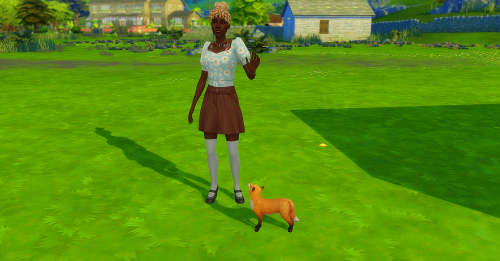 Scaredy-fox was back to stalk our chickens, but she was easily scared off by Bea.