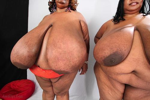 deejay502:  Norma stitz and cotton candi