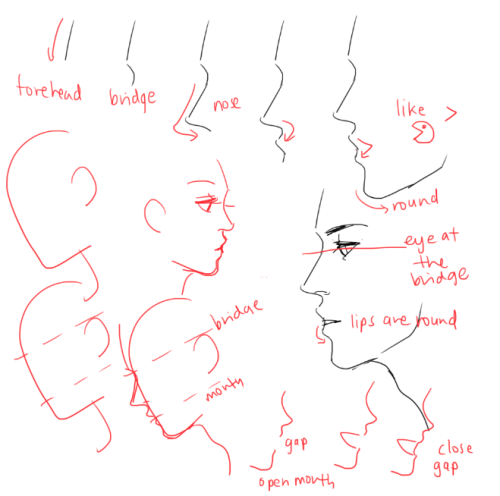 kelpls:UMM PEOPLE ASKED ABOUT NOSES AND EARS SO YEAH!!  please look up real references too don’t jus