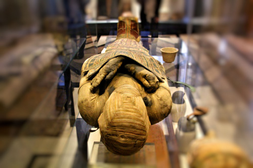 ancientart:  “They take first a crooked piece of iron, and with it draw out the brain through the nostrils, thus getting rid of a portion, while the skull is cleared of the rest by rinsing with drugs; next they make a cut along the flank with a