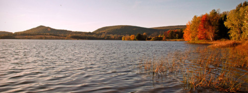 wereallgoingcuckoo:october in pennsylvania