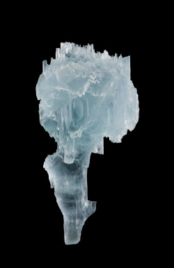 Fuckyeahmineralogy:  Beryl Var. Aquamarine; Gilgit District, Northern Areas, Pakistan