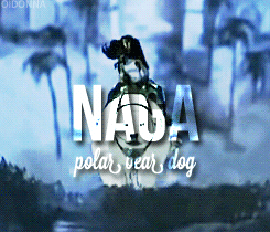 oidonna: Pets in Avatar.
