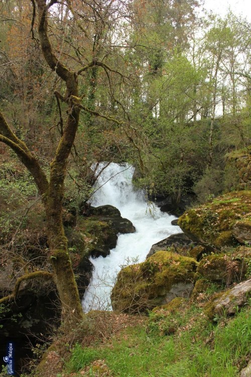 Pozo do Inferno, en CrecenteInfo: https://www.galiciamaxica.eu/galicia/pozo-do-inferno-rio-ribadil/