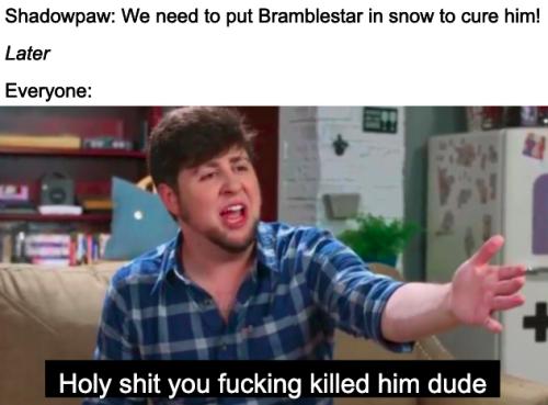 Nice Going Shadowpaw