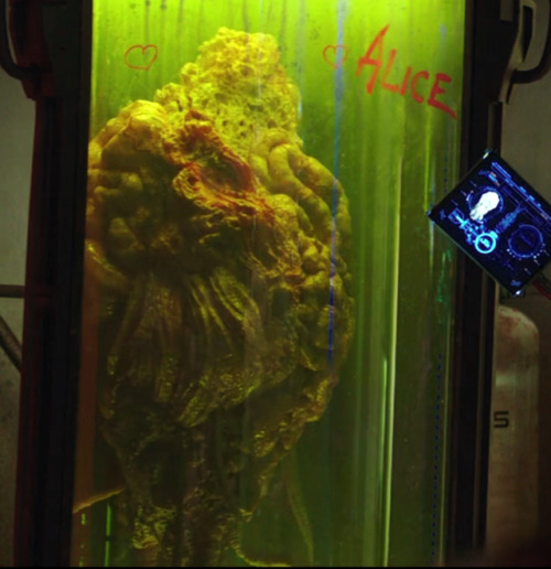 kaiju-fcker: 6-phds-and-no-sense: blairtrabbit: ethiobird: he decorated the alien brain tank with he