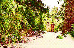 lanamparrillas:  Ouat + Scenerygasm requested by anonymous. 