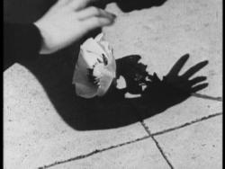 crumbargento:  Meshes of the afternoon Directed by Maya Deren &amp; Alexander Hammid   - 1943 - USA (short film - 15 min) 