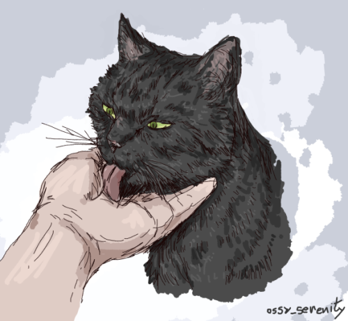 Affection