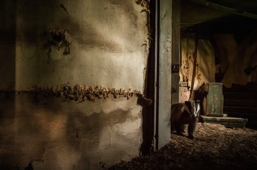 When Kai Fagerstrm Happened Upon An Old Cottage In Rural Suomusjrvi, Finland, Abandoned Decades Ago,