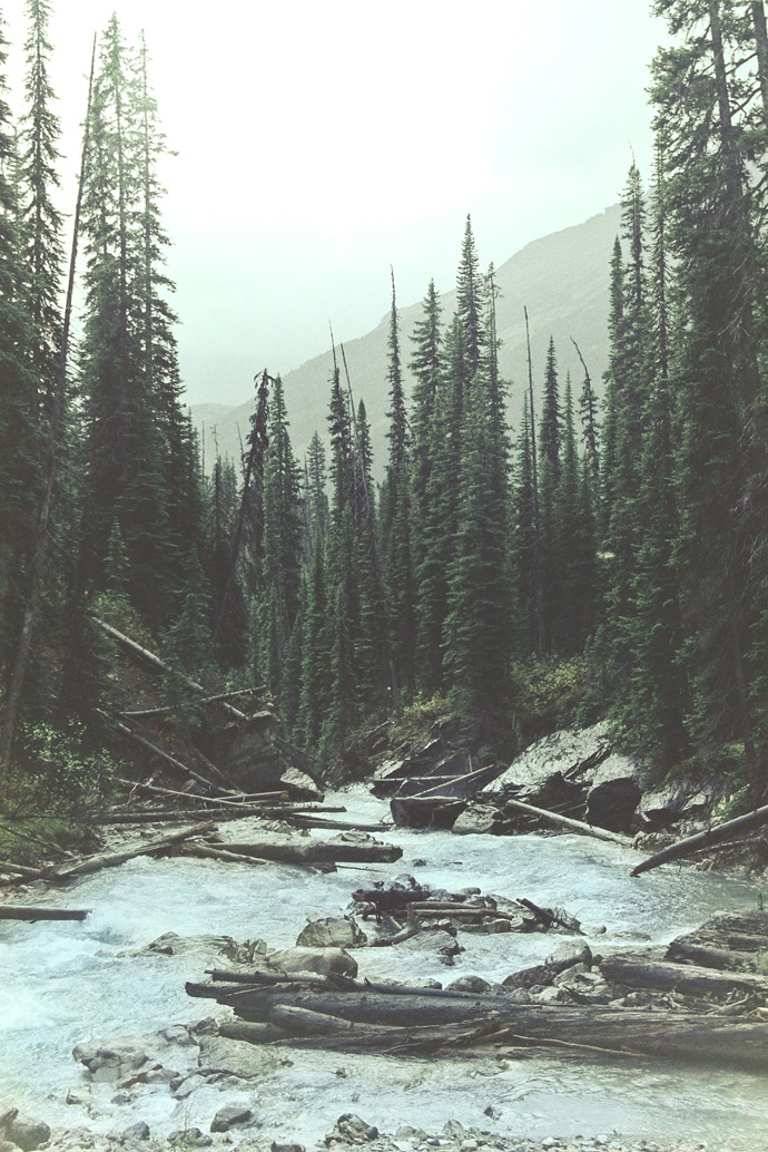 man-and-camera:  Yoho National Park, BC ➾ Luke Gram 