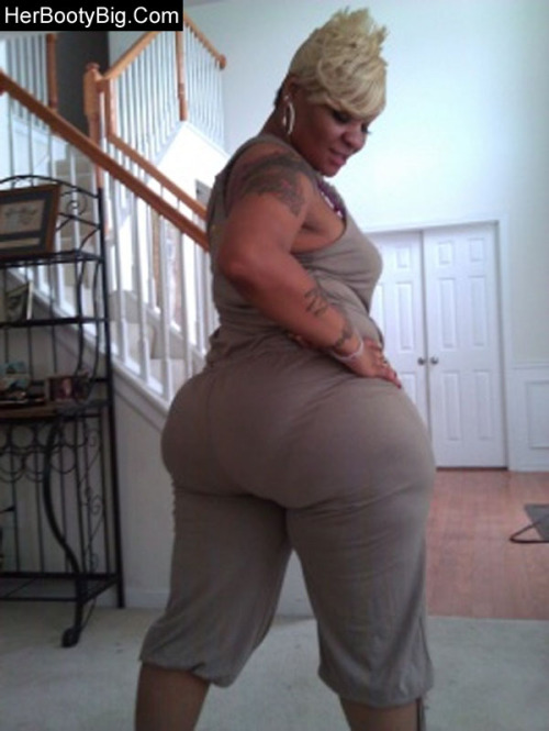 donk1.jpg