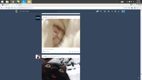 psych2go:  martymartinloki: darkscompany:  Just scrolling down my dash when I come apon this lovely duo of pictures XD  It’s like the top one is so embarrassed by what the bottom one is doing.  Can you guys help get some humor blogs to reblog this post