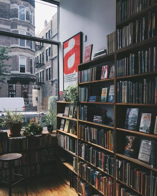 petalier:  © circleofpines  